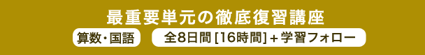 2019冬期講習 中5・6